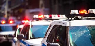 Nicolas Cage's Son Weston Pleads Not Guilty to Assault Charges, Released on Bail