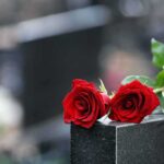 Elderly Dog Walker Murdered in Carjacking Elderly Dog Walker Murdered in Carjacking
