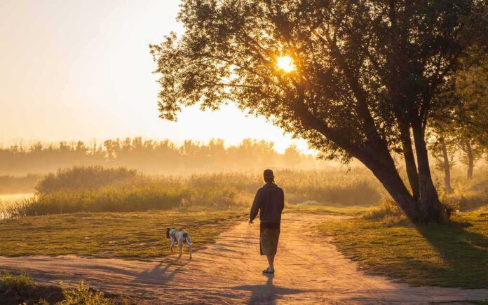 562654981 featured image Morning Routine Changes That Can Help With Blood Sugar Control