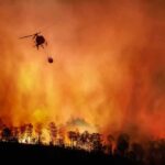 Massive Relief Fund Unveiled for Artists Impacted by California Fires