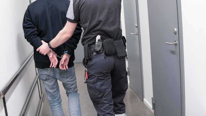 1082126789 featured image Suspects Detained Accused of Conspiring To Harass Xi Jinping Critic