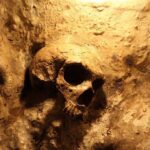 A skull embedded in a rocky surface, illuminated with warm lighting