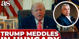 Trump Endorses CONTROVERSIAL Foreign Leader — EU Explodes
