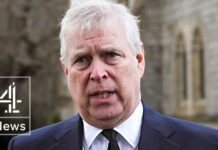 MASKED Gunman CHASES Prince Andrew - Security GONE