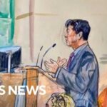 Wannabe Trump Assassin Leaves Jury Stunned During Court Appearance