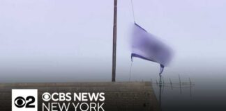 NYU graduation week marred by swastika flag raised on campus