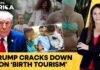 Trump's US Visa Crackdown: 'Birth Tourism' Networks in Africa, Europe Busted | Firstpost Africa