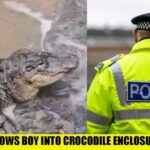 🚨BREAKING: Man THROWS 3 Year Old Boy In To Crocodile Enclosure In Cambridgeshire!