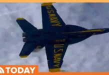 Video: Blue Angels Fly at Low Altitude, Sending People Scrambling