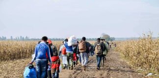 Group of people walking along a muddy rural path between fields