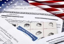 U.S. immigration and naturalization documents with American flag