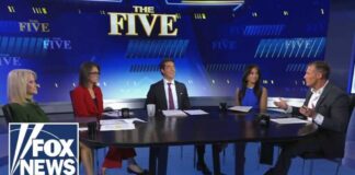 Joey Jones: Kamala Harris is 'BURNING BRIDGES' left and right