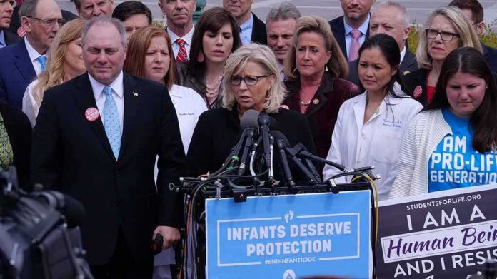 shutterstock_1360171232 Elizabeth Cheney speaks at a press conference flanked by Steve Scalise, Ann Wagner, Carol Miller, Phil Roe, Denver Riggleman, Buddy Carter, Tim Burchett, Rob Wittman, and Ross Spano